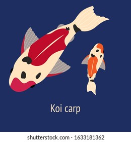 koi carp illustration. two carp fish on a dark blue background. pink and orange koi carps