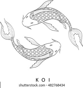 Koi carp. Japanese fish. 