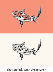 Koi carp, Japanese fish. Korean animal. Engraved hand drawn line art Vintage tattoo monochrome sketch for poster or label.
