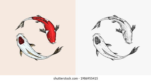 Carpa de Koi, pescado japonés. Animal coreano. Dibujo de líneas dibujadas a mano Dibujo monocromo de tatuajes vintage para afiches o etiquetas.