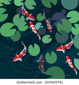 Koi carp japanese red and white fish vector illustration. Lotus leaves in pond background