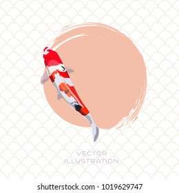 Koi carp japanese red and white fish vector illustration. 