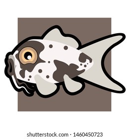 Koi carp japanese symbol of luck fortune prosperity 