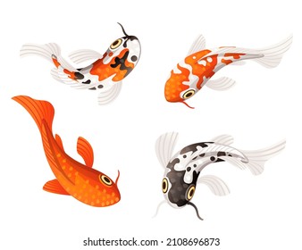 Koi carp japanese symbol of luck fortune prosperity red dotted koi carp cartoon flat vector illustration isolated on white background.