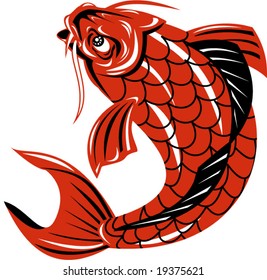 Koi carp jumping up