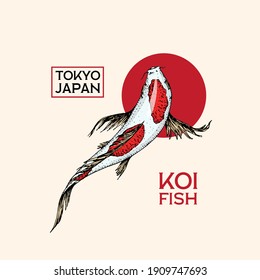 Koi carp and red sun, Japanese fish badge. Korean animal logo. Engraved hand drawn line art Vintage tattoo monochrome sketch for poster or label.