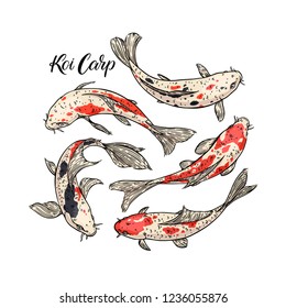 Koi Carp set. Set of beautiful hand-drawn carps