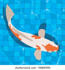 koi carp swimming in tiled blue pool