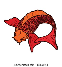 koi carp tattoo drawing