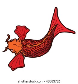 koi carp tattoo drawing