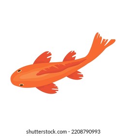Ilustración vectorial de carpa de Koi. Peces orientales dorados nadando en aguas aisladas de fondo azul. Jardín botánico chino tradicional japonés