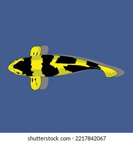 Koi carp vector illustration. Isolated.
