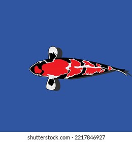 Koi carp vector illustration. Isolated.