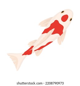 Koi carp vector illustration. Red white oriental fishes swimming in water isolated on blue background. Traditional japanese, chinese botanical garden