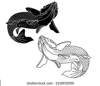 koi carp vector isolate for tattoo.Japanese carp drawing.Hand drawn line art of fish (Koi carp). Vector isolated. Idea for tattoo and coloring books.