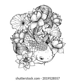 Koi carp with water lilies flowers sketch. Vector illustration. Tattoo print. Hand drawn illustration for t-shirt print, fabric and other uses.