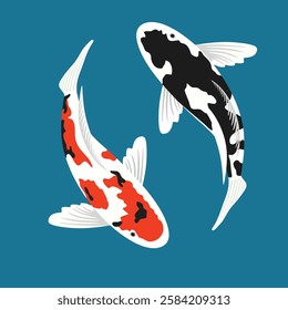 Koi carps fish art, Japanese koi fish vector ilustration