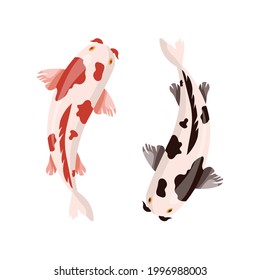 Koi carps isolated on white background. Fish koi cartoon style. Japanese fish. Zen concept. Vector stock