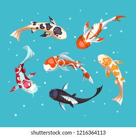Koi carps. Koi japanese fish vector illustration. Chinese goldfish. Koi symbol of wealth. Aquarium illustration.  