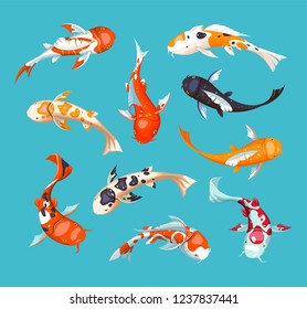 Carpas de Koi. Ilustración vectorial del pescado japonés de Koi. Pez de oro chino. Símbolo koi de riqueza. Ilustración de acuario.  Patrón de pescado sin fisuras.