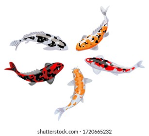 Koi carps. Koi japanese fish vector illustration. Chinese goldfish. Koi symbol of wealth. Aquarium illustration. Fish seamless pattern. Japanese carp and colorful oriental koi in Asia.