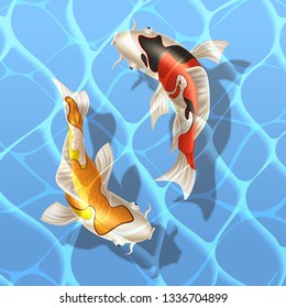 Koi carps realistic fish swimming in water. Vector chinese, japanese Yin and yang, harmony and balance symbol. Oriental underwater animals. Decorative fish, zen meditation design decoration. Vector