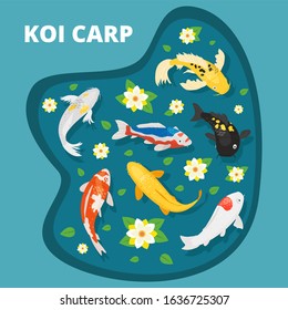 Koi carps vector illustration flat. Seven animals asian goldfish multicolored decorative koi carps swim in lake pond among flowering water lilies. Japanese chinese symbol of good luck.