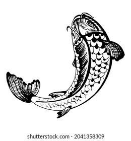 Koi carps. Vintage vector hatching black monochrome illustration. Isolated on white background. Hand drawn design ink