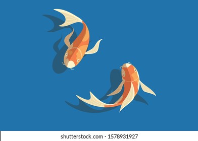 Koi carps in water vector illustration on white background