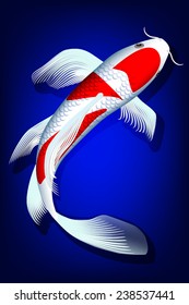 koi fish