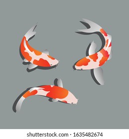 koi fish art, background. and pattern