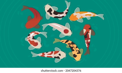 Koi fish. Art vector illustration.