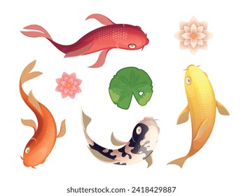 Pescado de Koi. La auténtica visión asiática de la parte superior de los animales de natación la plantilla exacta del vector acuático en el estilo de las caricaturas