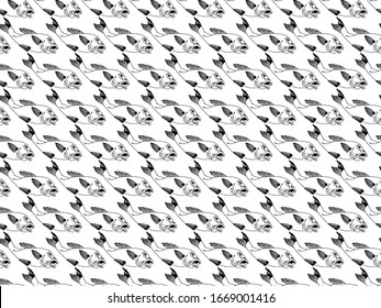 Koi fish background by hand drawing. Art highly detailed in line art style. Fish and flower seamless pattern.