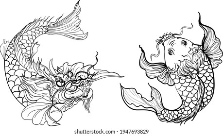 koi fish black and white isolate on white.Koi carp fish and dragon head.
