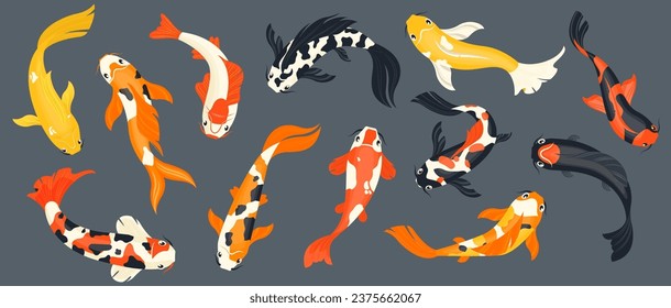 Koi fish collection. Exotic asian goldfish, colorful traditional carp in pond, chinese koi pond decoration cartoon style. Vector isolated set. Spotted bright oriental animals, asian underwater fauna