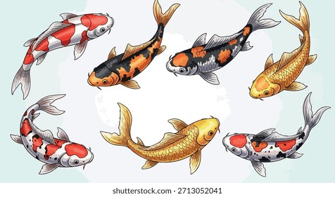 Koi fish collection with transparent background