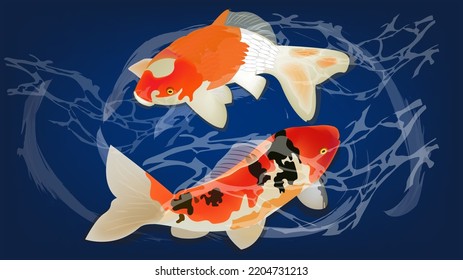 peces koi decorados en ilustraciones de vectores de agua, carpa japonesa y peces coloridos, pescado koi oriental encontrado en asia