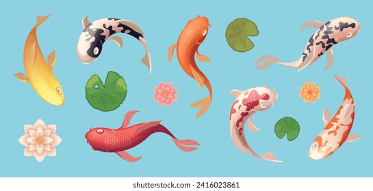 Koi fish. Exotic swimming animal asian fish top view exact vector template illustrations