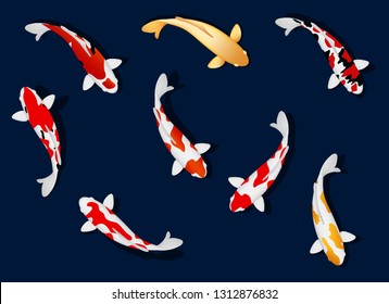 Koi fish graphic vector