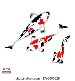 Koi fish. illustration of koi fish in flat style.