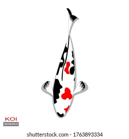 Koi fish. illustration of koi fish in flat style.