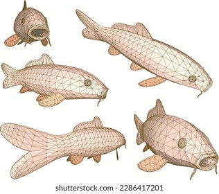 Koi fish illustration vector sketch