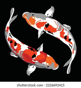 Koi Fish, or Japanese goldfish that have beautiful color ornaments