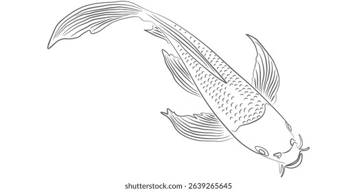koi fish line art illustration vector design