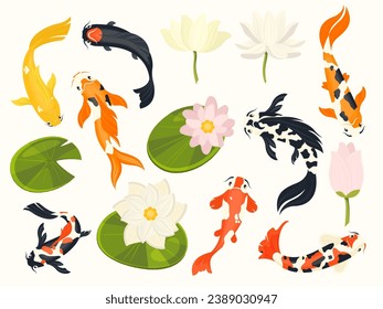 Pescado y loto de Koi. Animales acuáticos asiáticos exóticos nadando en estanque de flores de loto, símbolos budistas chinos tradicionales. Conjunto aislado de vectores. Hermosa vida acuática con flora y fauna