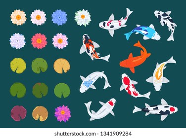 Koi fish and lotus. Japanese carp, flowers and leaves of water lilies. China asian traditional vector set