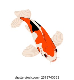 Koi fish. Minimal koifish icon, colorful cartoon oriental carp decorative element for print design, flat underwater character. Vector isolated illustration.