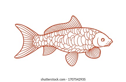 Koi fish outline. Carp Koi logo