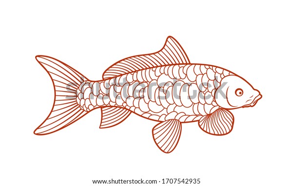 Koi Fish Outline Carp Koi Logo Stock Vector (Royalty Free) 1707542935